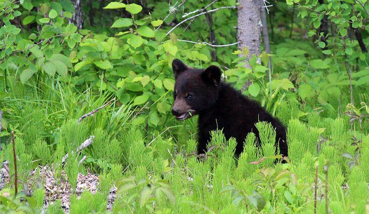 15 Best Parks in Manitoba