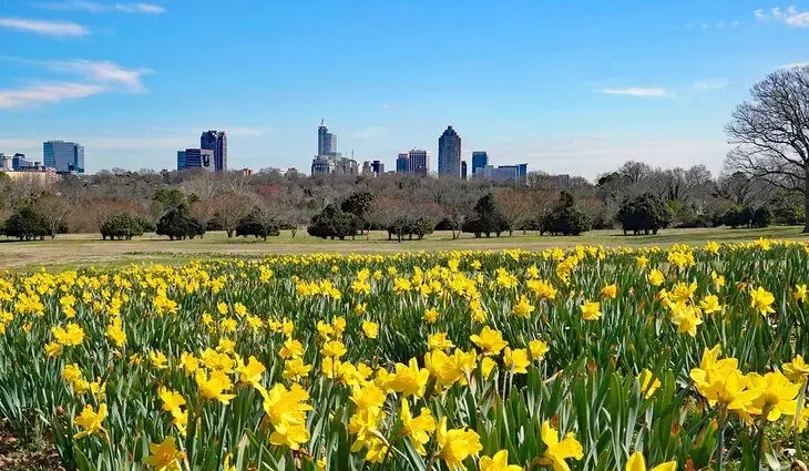 15 Best Parks in Raleigh, NC