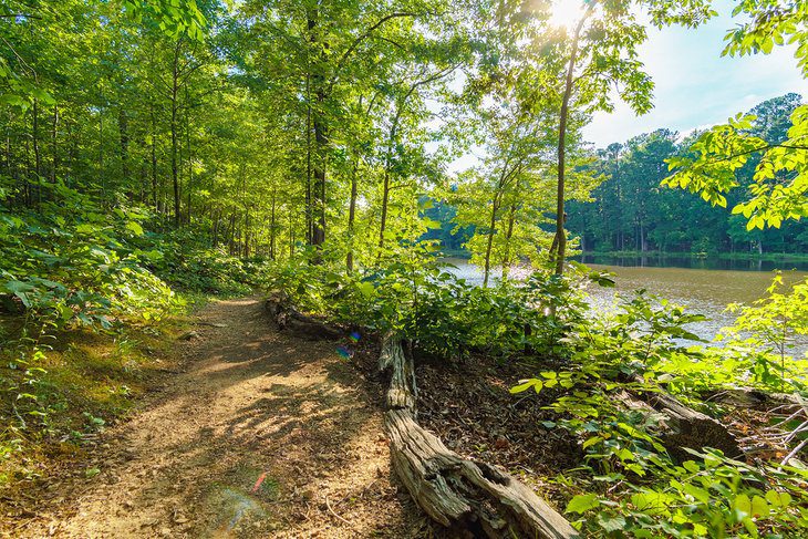 15 Best Parks in Raleigh, NC