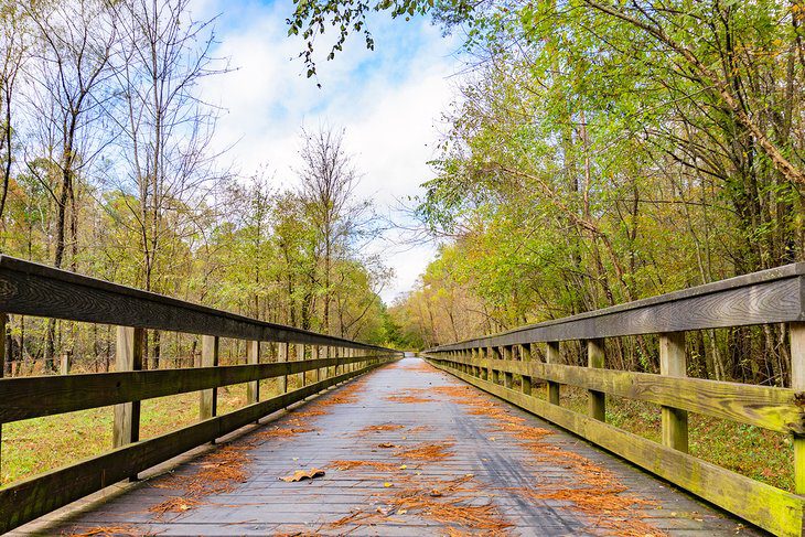 15 Best Parks in Raleigh, NC