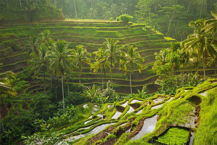 15 Best Places to Visit in Southeast Asia