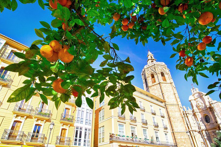 15 Best Places to Visit in Spain