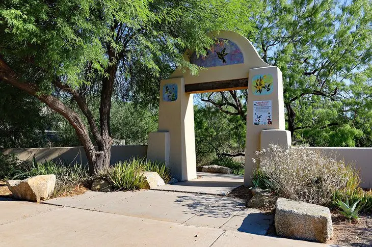 15 Best Things to Do in Chandler, AZ