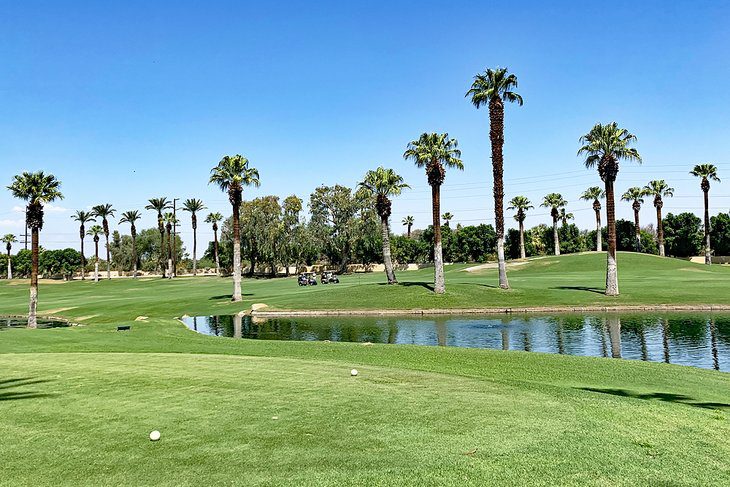 15 Best Things to Do in Palm Desert, CA