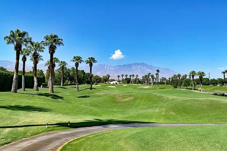 15 Best Things to Do in Palm Desert, CA