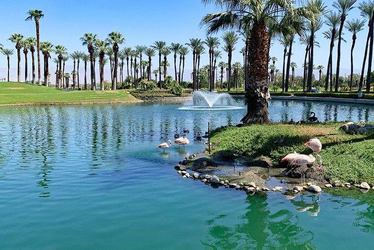 15 Best Things to Do in Palm Desert, CA