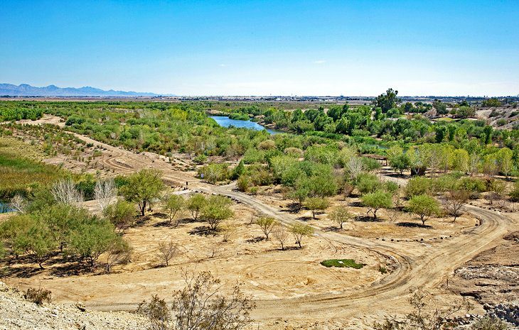 15 Best Things to Do in Yuma, AZ