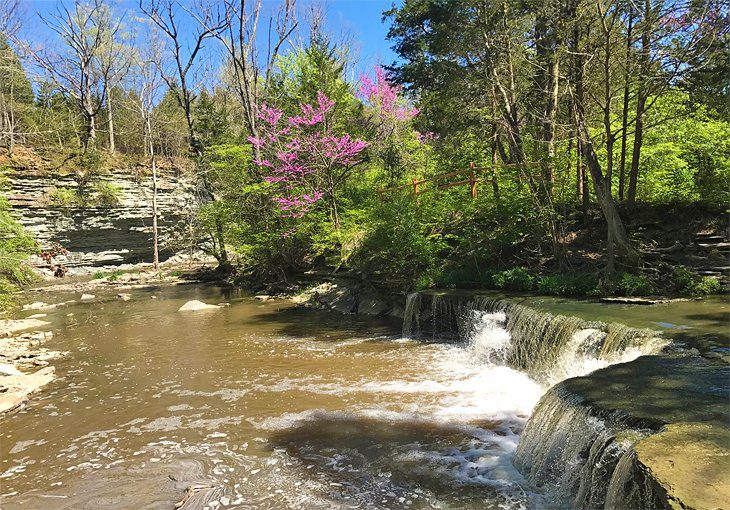 15 Best Waterfalls in Ohio