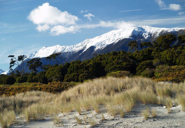 15 Top-Rated Attractions on the West Coast, NZ