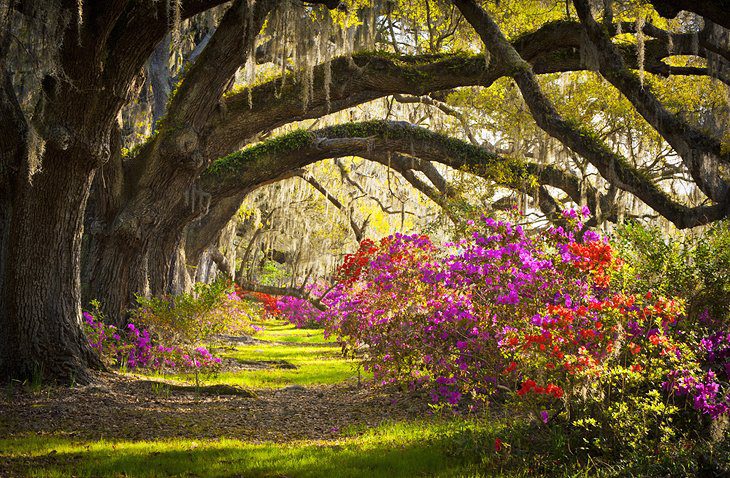 15 Top-Rated Attractions & Places to Visit in South Carolina