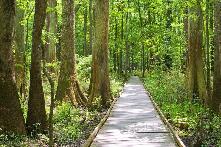 15 Top-Rated Attractions & Places to Visit in South Carolina