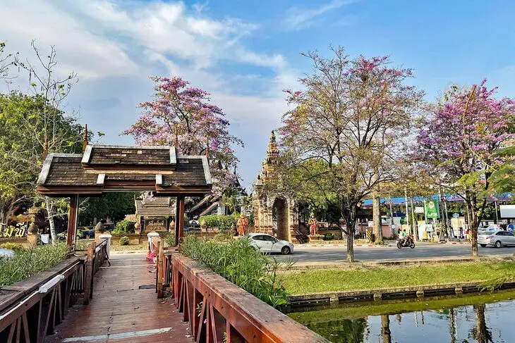 15 Top-Rated Attractions & Things to Do in Chiang Mai