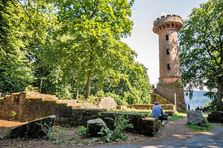 15 Top-Rated Attractions & Things to Do in Heidelberg