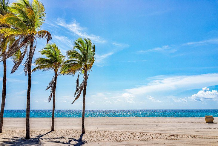 15 Top-Rated Attractions & Things to Do in Hollywood, FL