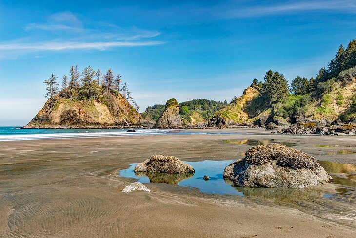 15 Top-Rated Beaches in Northern California