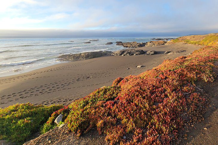 15 Top-Rated Beaches in Northern California