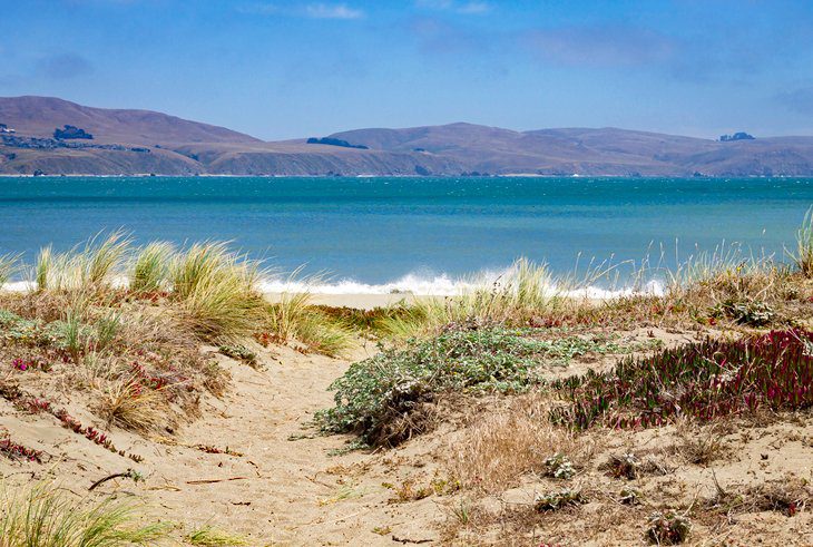 15 Top-Rated Beaches in Northern California