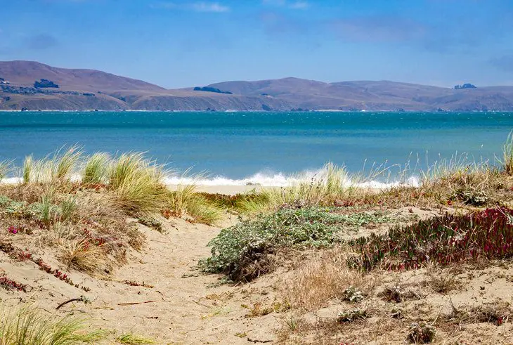 15 Top-Rated Beaches in Northern California