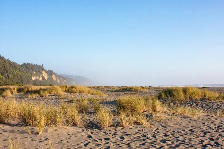 15 Top-Rated Beaches in Northern California