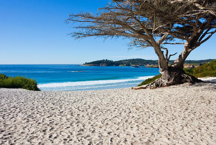 15 Top-Rated Beaches in Northern California