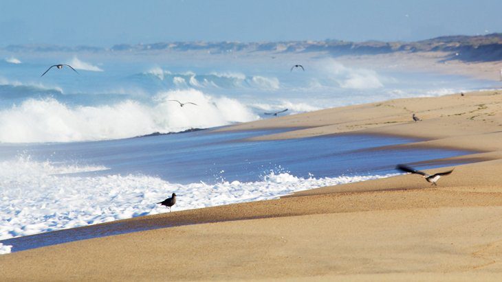 15 Top-Rated Beaches in Northern California