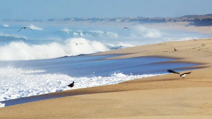 15 Top-Rated Beaches in Northern California