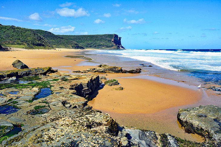 15 Top-Rated Beaches in Sydney, Australia