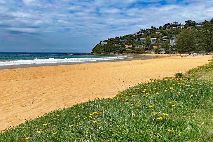 15 Top-Rated Beaches in Sydney, Australia