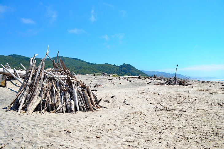 15 Top-Rated Beaches on the Oregon Coast