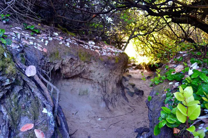 15 Top-Rated Beaches on the Oregon Coast