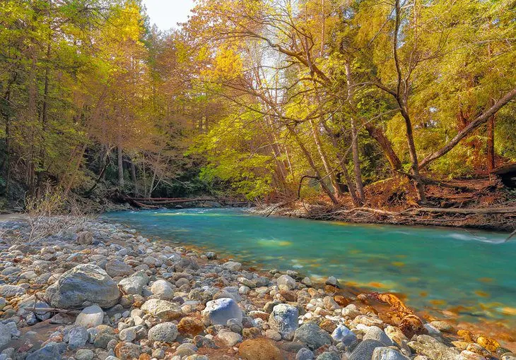 15 Top-Rated Campgrounds near Big Sur & Pfeiffer Big Sur State Park, CA