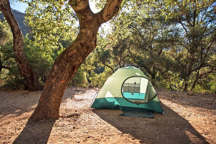 15 Top-Rated Campgrounds near Big Sur & Pfeiffer Big Sur State Park, CA