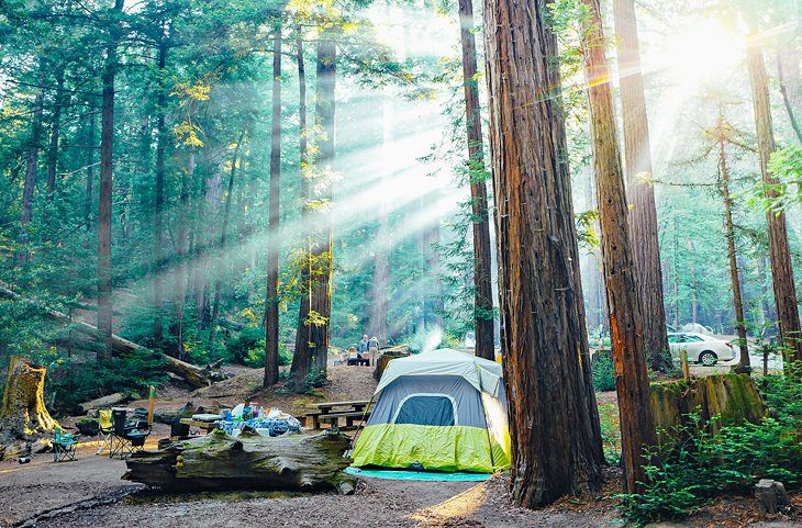 15 Top-Rated Campgrounds near Big Sur & Pfeiffer Big Sur State Park, CA