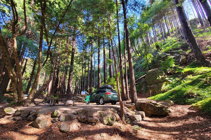 15 Top-Rated Campgrounds near Big Sur & Pfeiffer Big Sur State Park, CA