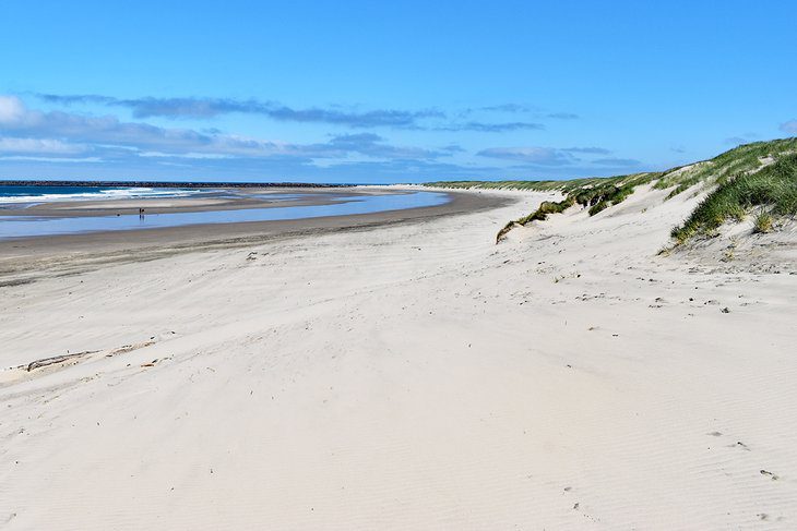 15 Top-Rated Campgrounds on the Oregon Coast