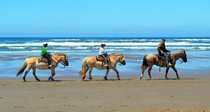 15 Top-Rated Campgrounds on the Oregon Coast