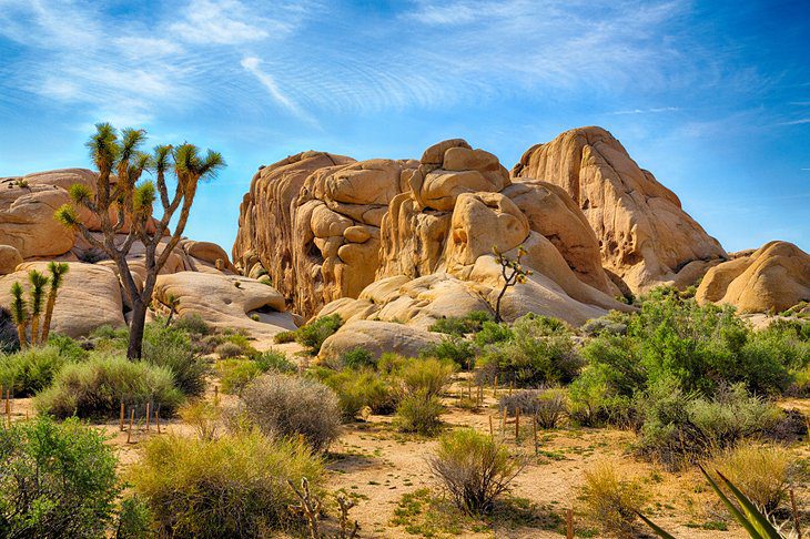 15 Top-Rated Day Trips from Los Angeles