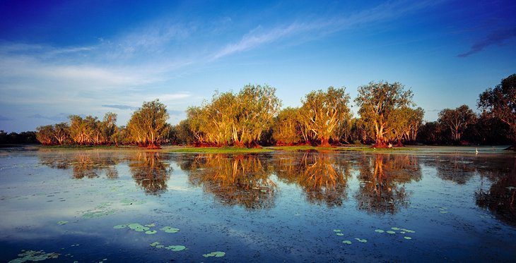 15 Top-Rated Fishing Destinations in Australia