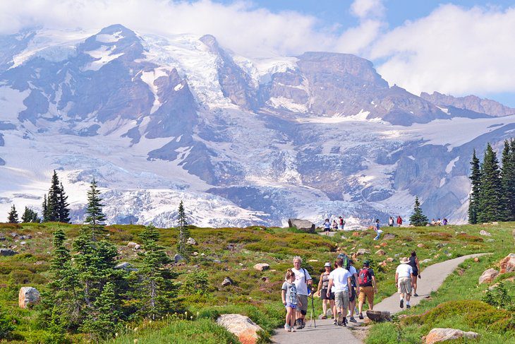 15 Top-Rated Hikes in Mount Rainier National Park, WA