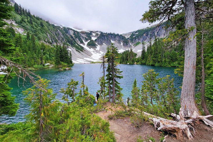 15 Top-Rated Hikes in Mount Rainier National Park, WA