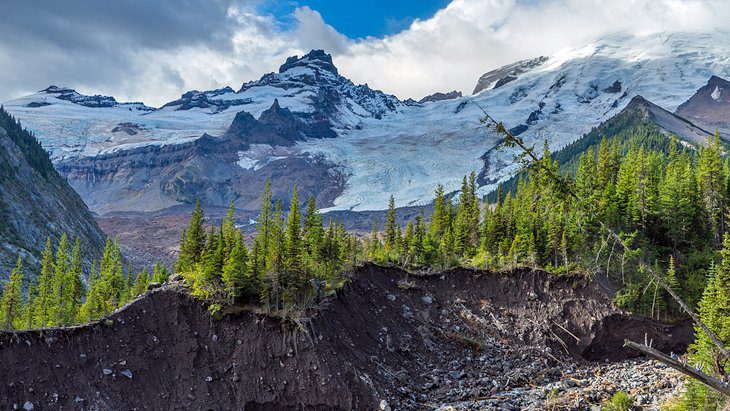 15 Top-Rated Hikes in Mount Rainier National Park, WA