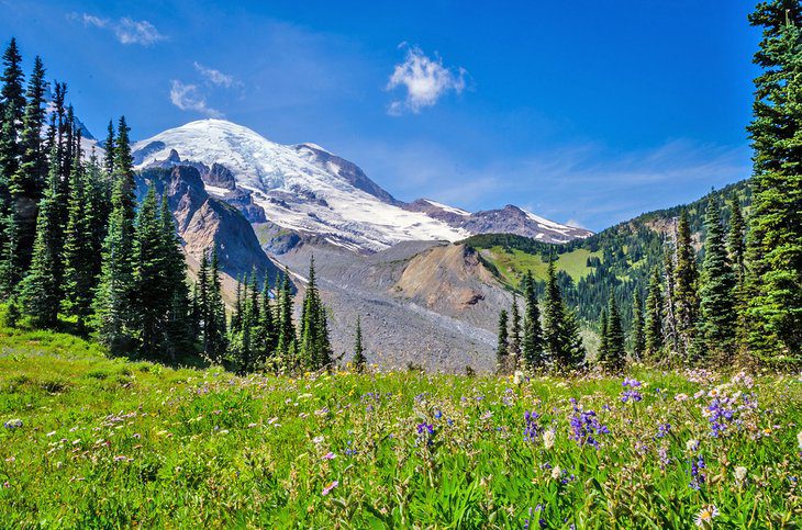 15 Top-Rated Hikes in Mount Rainier National Park, WA