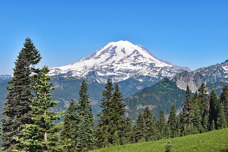 15 Top-Rated Hikes in Mount Rainier National Park, WA