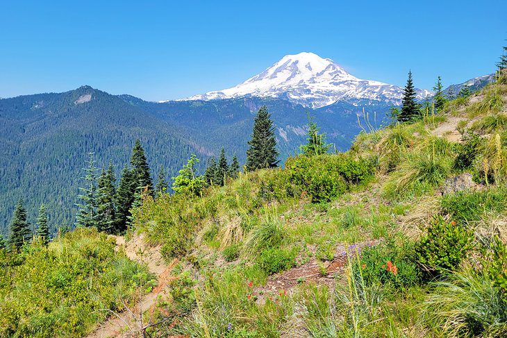 15 Top-Rated Hikes in Mount Rainier National Park, WA