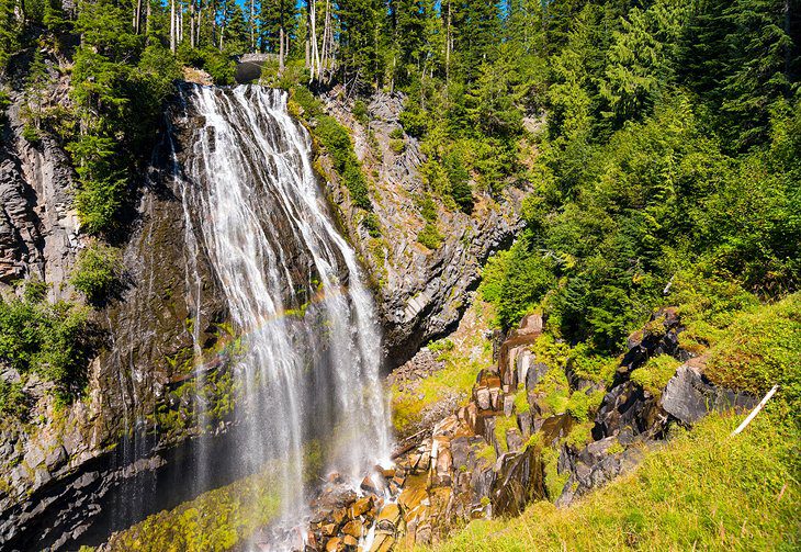 15 Top-Rated Hikes in Mount Rainier National Park, WA