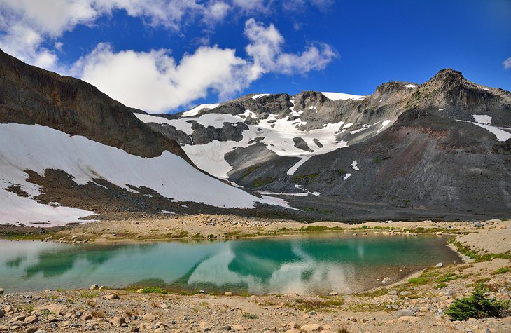 15 Top-Rated Hikes in Mount Rainier National Park, WA