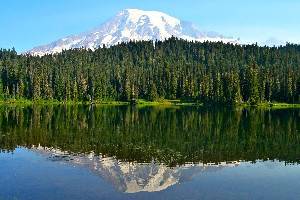 15 Top-Rated Hikes in Mount Rainier National Park, WA