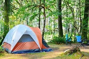 15 Top-Rated Hikes in Mount Rainier National Park, WA