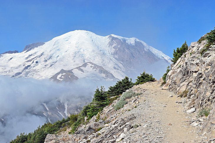 15 Top-Rated Hikes in Mount Rainier National Park, WA