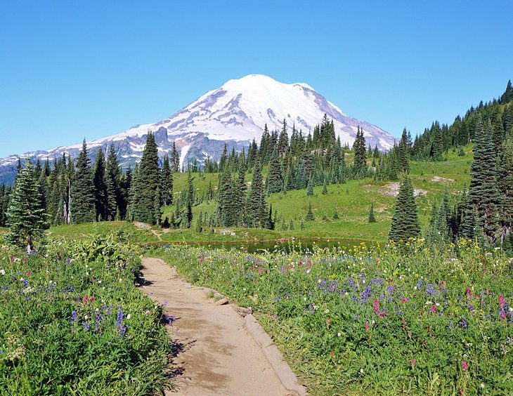 15 Top-Rated Hikes in Mount Rainier National Park, WA